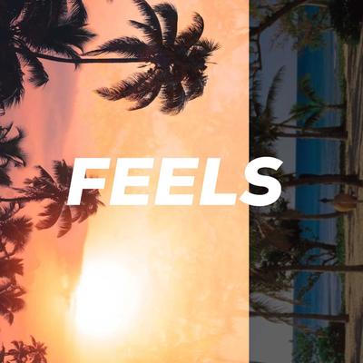 Feels (feat. Awesomejazz & Casley)'s cover