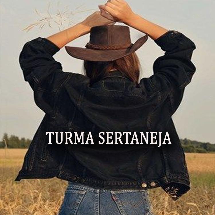 Só sertanejo's avatar image