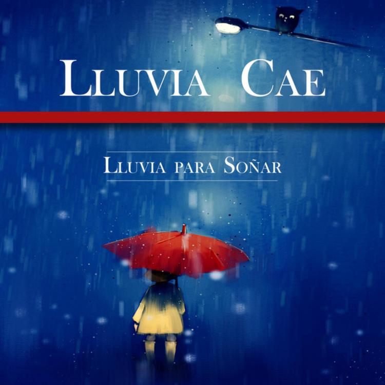 Lluvia Para Soñar's avatar image