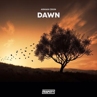 Dawn By Arman Cekin's cover