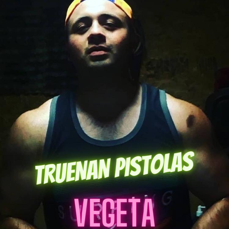 vegeta's avatar image