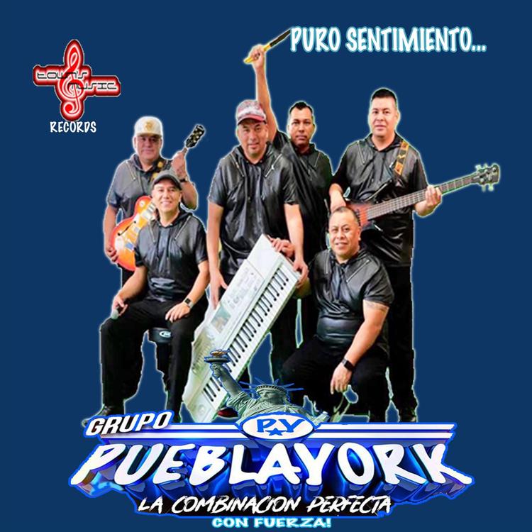 Grupo Pueblayork's avatar image