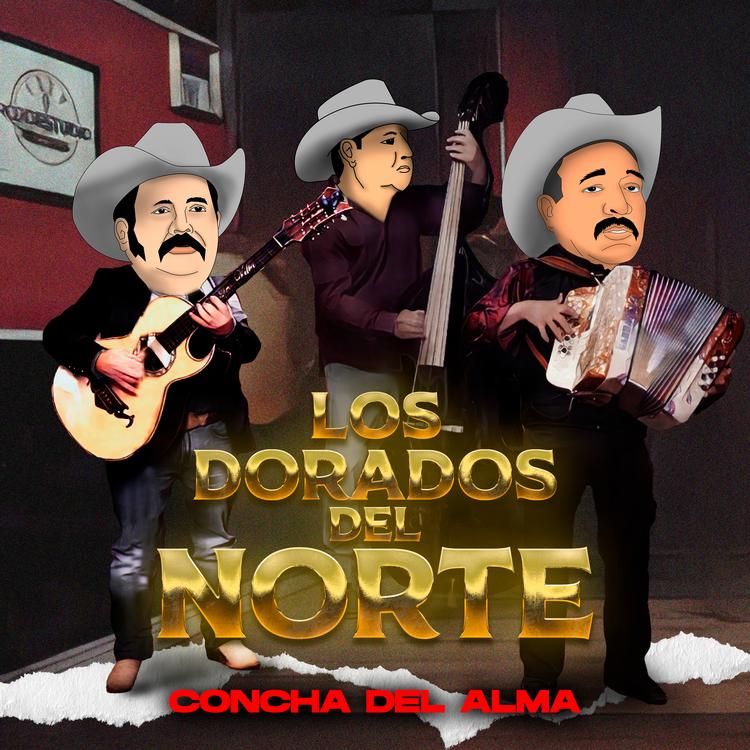 Los Dorados Del Norte's avatar image