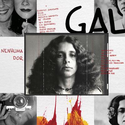 Negro Amor (It's All Over Now, Baby Blue) By Gal Costa, Jorge Drexler's cover