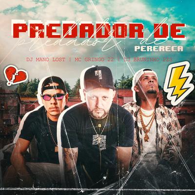 Predador de Perereca By Dj Bruninho Pzs, Dj Mano Lost, MC GRINGO 22's cover