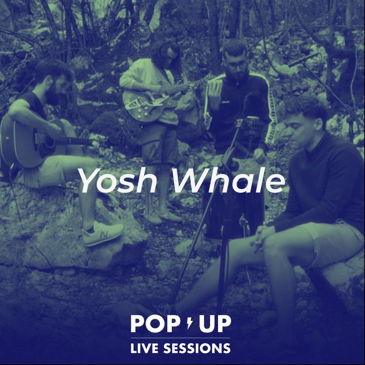 Yosh Whale's avatar image