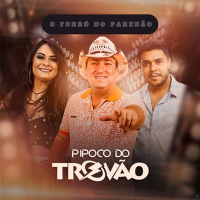 Vaqueiro Raiz By Pipoco Do Trovão's cover