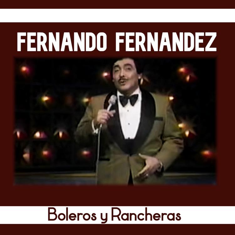 Fernando Fernández's avatar image