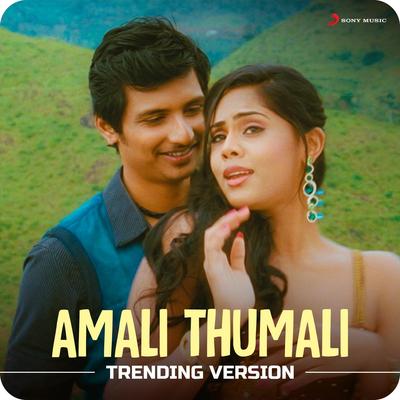 Amali Thumali (Trending Version)'s cover