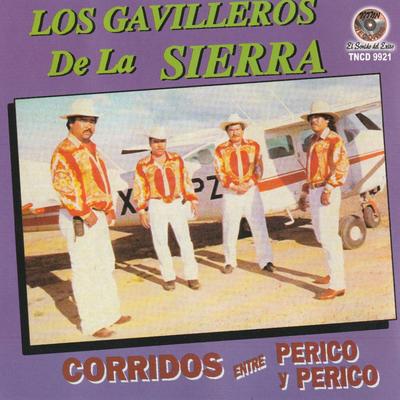 Los Gavilleros De La Sierra's cover