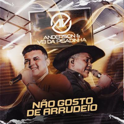 Não Gosto de Arrudeio (Ao Vivo) By Anderson & Vei da Pisadinha's cover