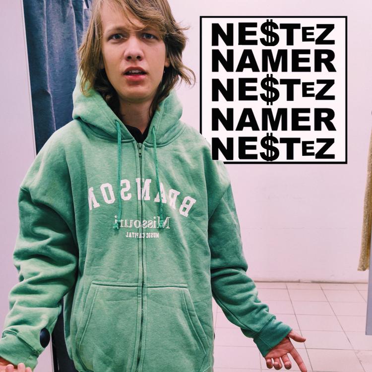 Nestez's avatar image