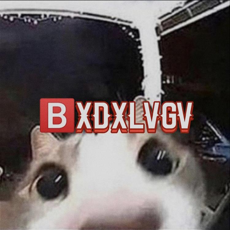 B3DXLVGV's avatar image