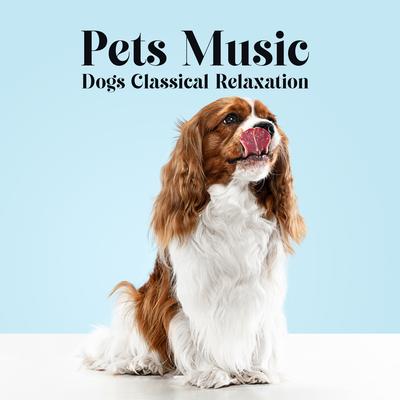 Dogs Classical Relaxation: Pets Music, Quiet Instrumental Songs for Separation Anxiety and Sleep Problems, Friends Love While You Are Gone's cover