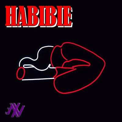 DJ Habibie's cover
