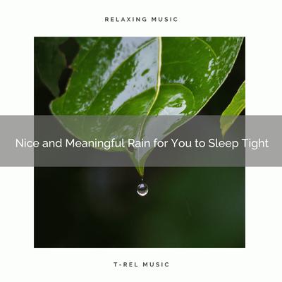 Rain Storm Sounds's cover