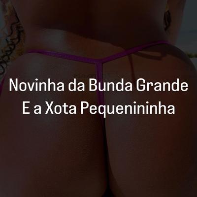 Novinha da Bunda Grande e a Xota Pequenininha (Remix)'s cover