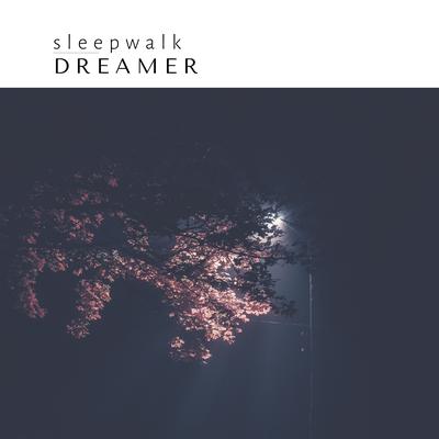 Sleepwalk By Ben Laver's cover