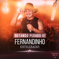 Fernandinho Estilizado's avatar cover