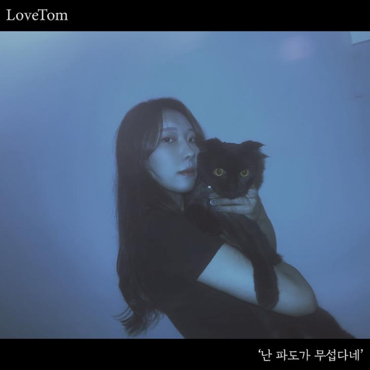 LoveTom (러브톰)'s avatar image