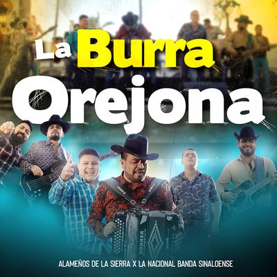 La Burra Orejona's cover