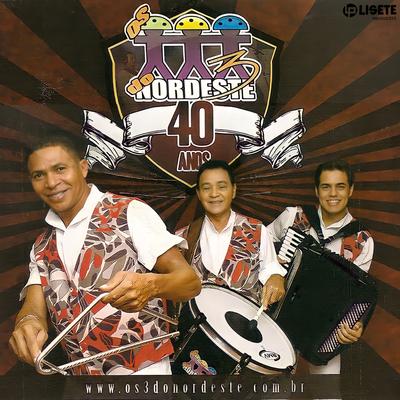 Os 3 do Nordeste 40 Anos's cover