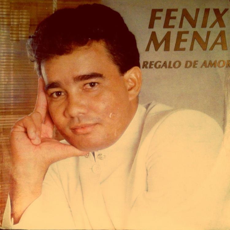 Fenix Mena's avatar image