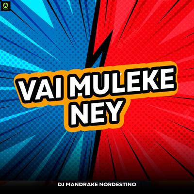 Vai Muleke Ney By Dj Mandrake Nordestino, Alysson CDs Oficial's cover