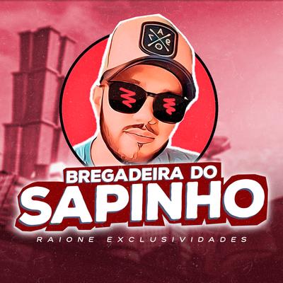 Bregadeira do Sapinho's cover