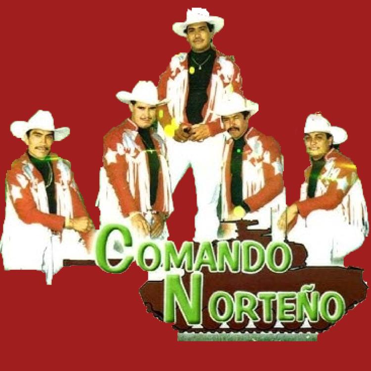 comando norteño's avatar image