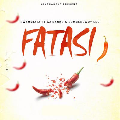 Fatasi's cover