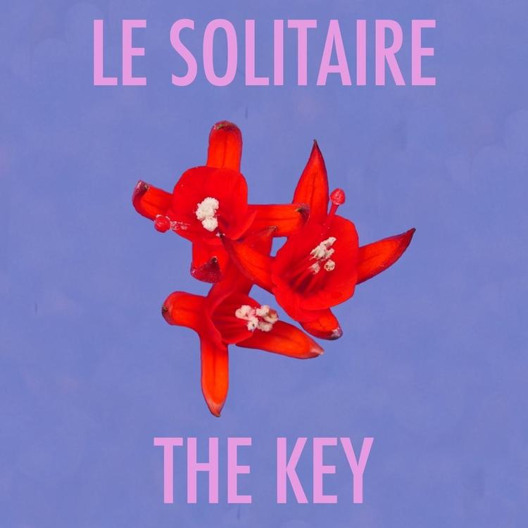 Le Solitaire's avatar image