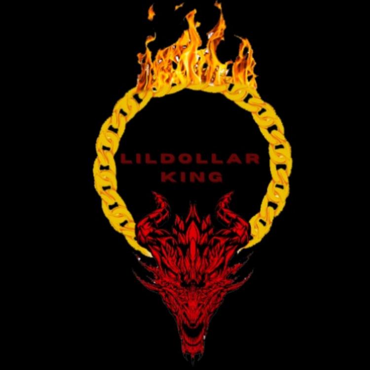 Lil Dollar King's avatar image