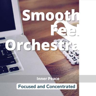 The Common Theme By Smooth Feel Orchestra's cover