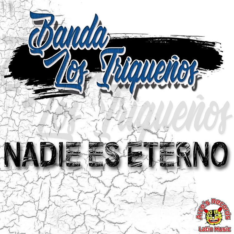 Banda Los Triqueños's avatar image