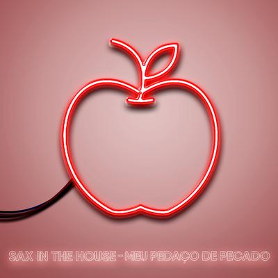 Meu Pedaço de Pecado By Sax in the House's cover