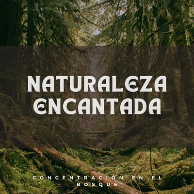 Naturaleza Encantada: Concentración En El Bosque's cover