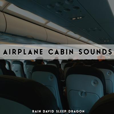 Airplane Cabin Sounds, Pt. 163 By Rain David Sleep Dragon's cover