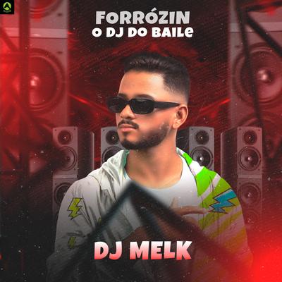 Forrózin o DJ do Baile (feat. djmelk) By djmelk's cover