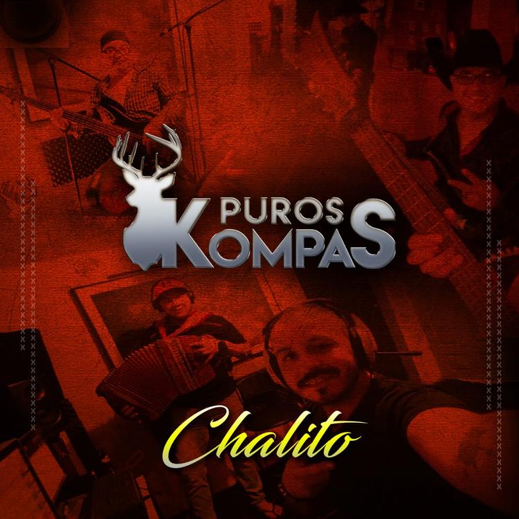 Puros Kompas's avatar image