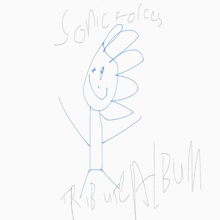 Sonic Forces Fan 45's avatar image