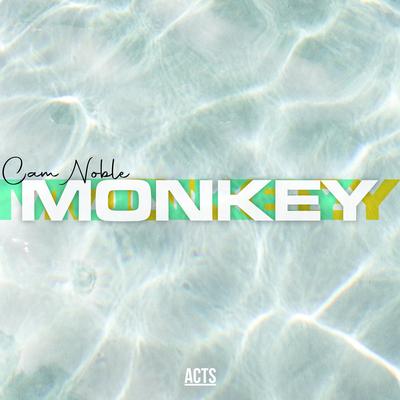 Monkey By Cam Noble, Casual Healing's cover