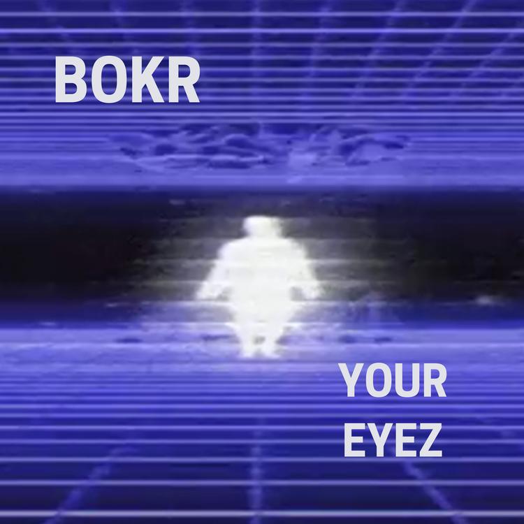 BOKR's avatar image