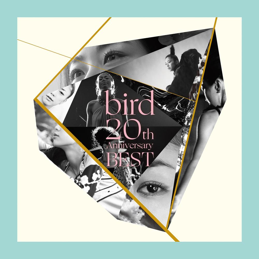 Bird 20th Anniversary Best Official Tiktok Music | album by Bird