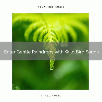 ! ! ! ! ! ! ! ! ! ! Enter Gentle Raindrops with Wild Bird Songs's cover