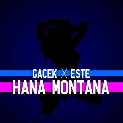 HANA MONTANA's cover