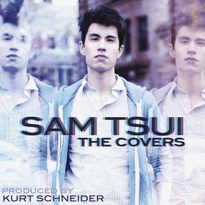 Michael Jackson Medley By Sam Tsui, Kurt Schneider's cover