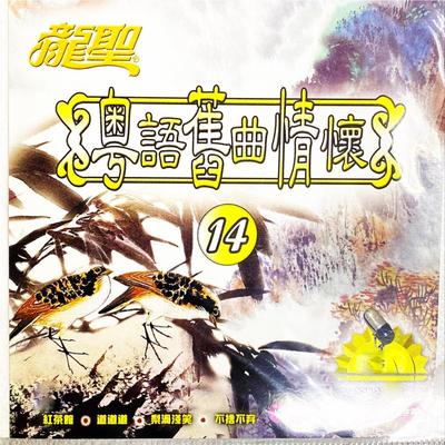 Dan Yuan Bu Zhi Shi Peng You's cover