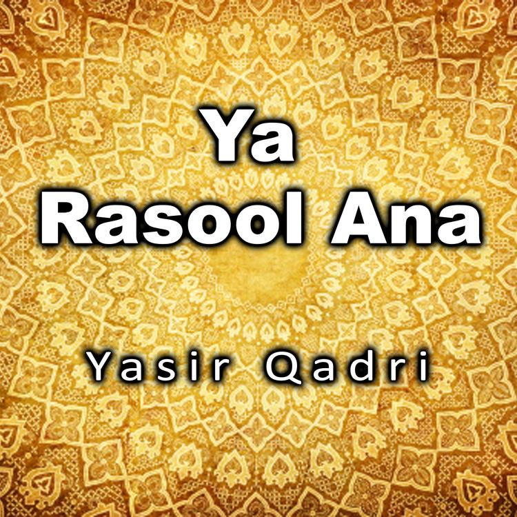 Yasir Qadri's avatar image