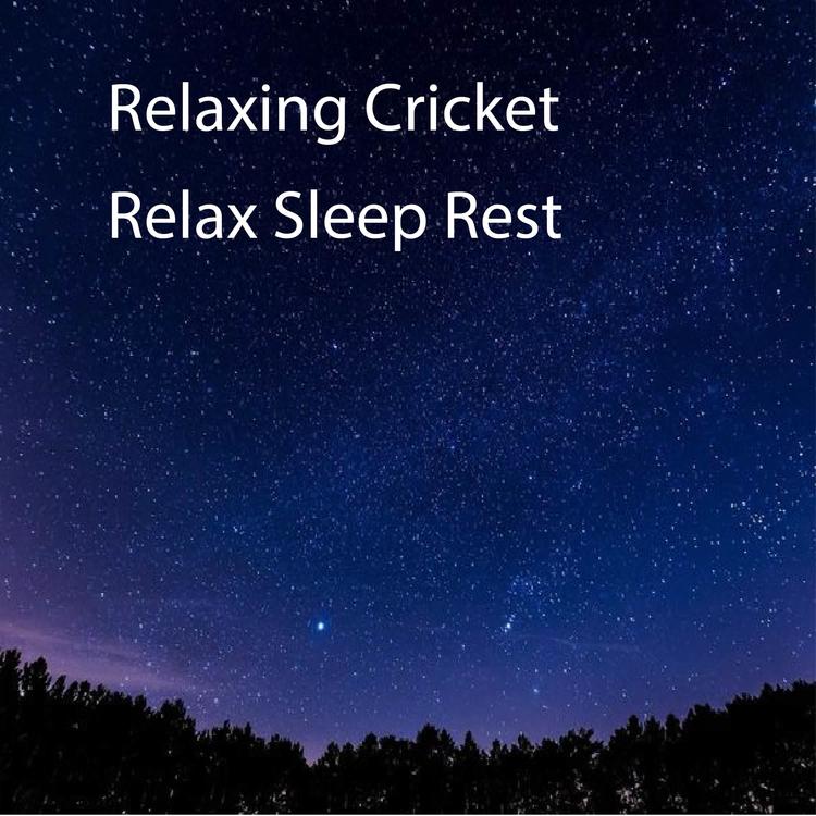 Relax Sleep Rest's avatar image